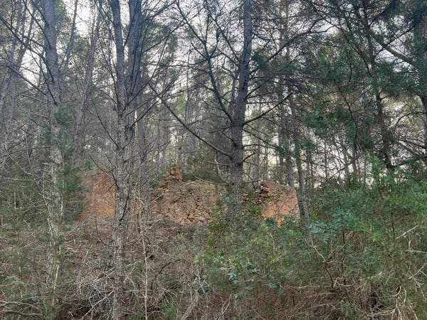 House in Santa Gertrudis de Fruitera - view 1