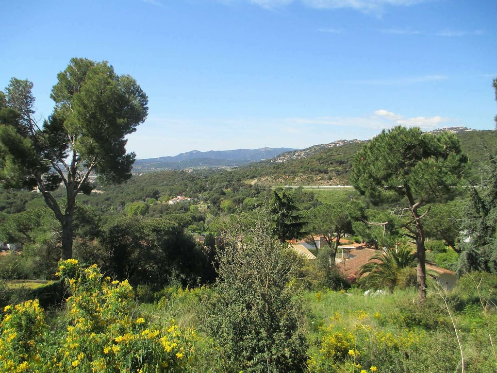 Land in Sant Antoni de Calonge - Image 3