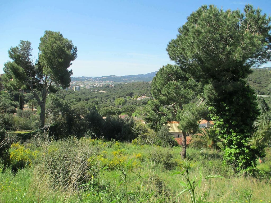 Land in Sant Antoni de Calonge - Image 2