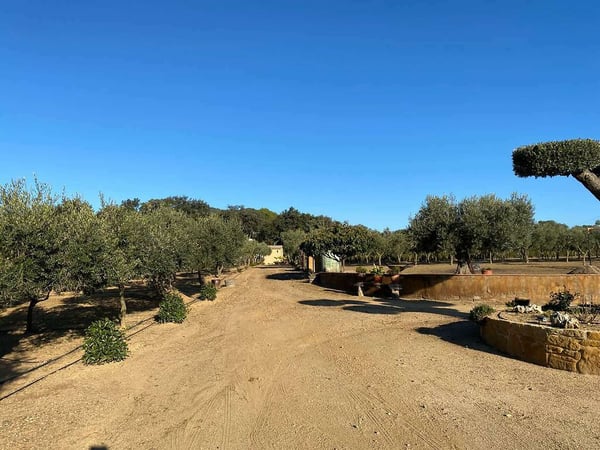 Land in Mont-ras - view 1