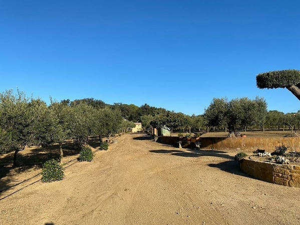 House in Mont-ras - view 1