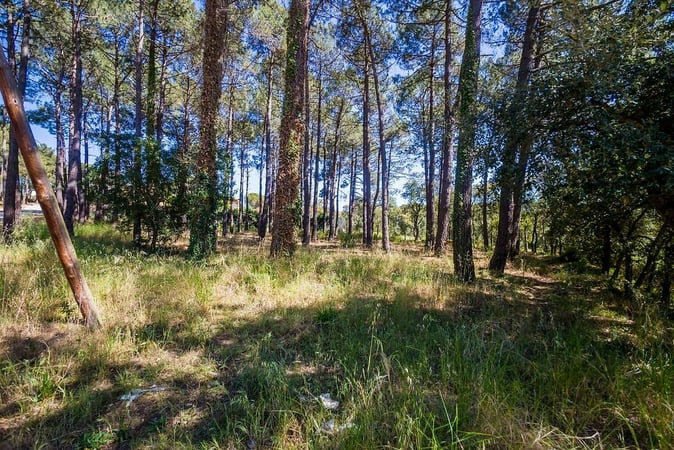 Land in Bell-Lloch - view 1