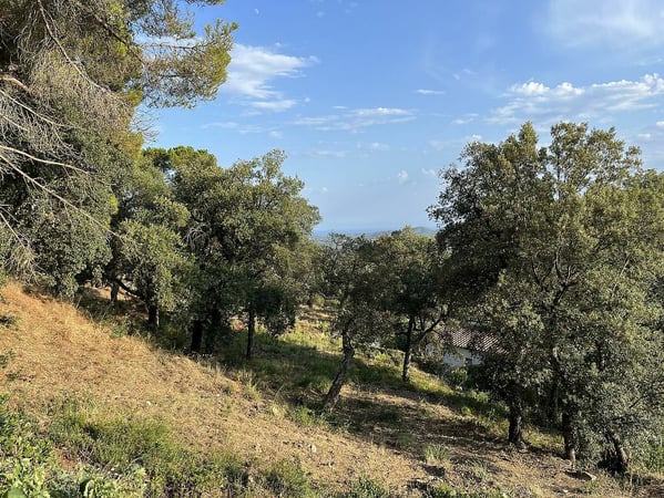 Land in Santa Cristina d'Aro - view 1