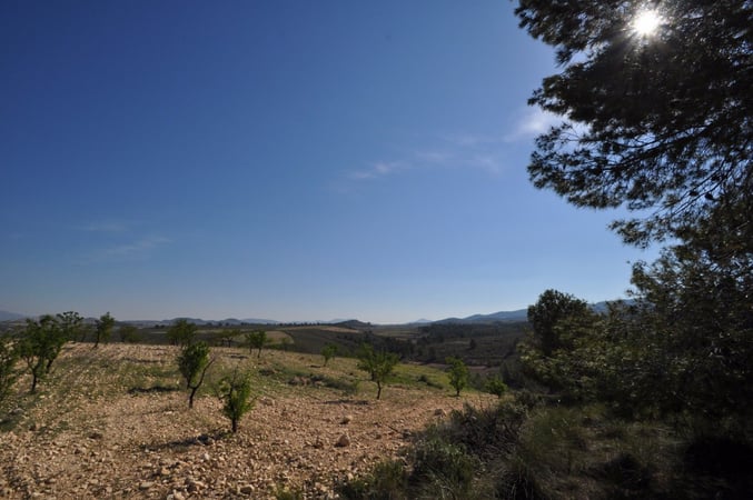 House in La Zarza - view 1