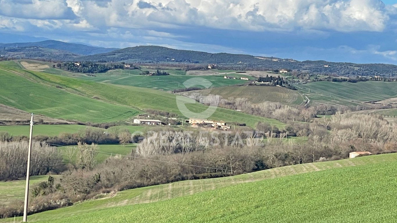 House in Montalcino - Image 3
