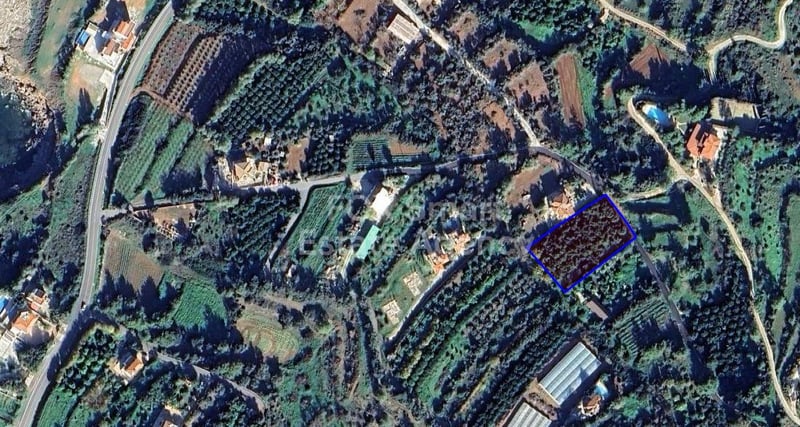 Land in Nea Dimmata - view 1