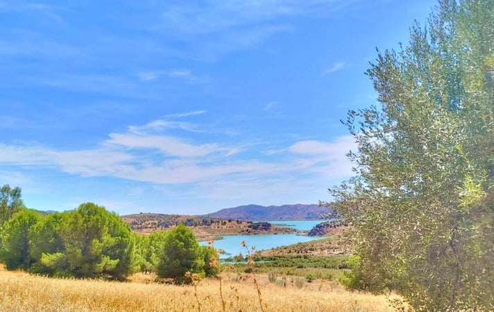 Land in Periana - view 1