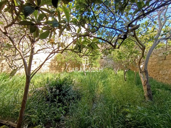 House in Iz-Zejtun - view 1