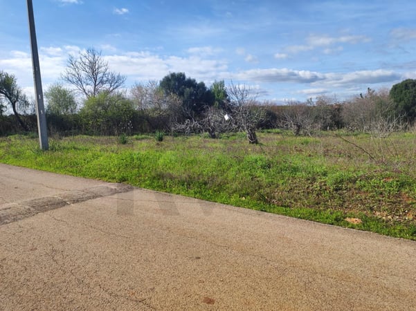 Land in Sao Bartolomeu de Messines - view 1