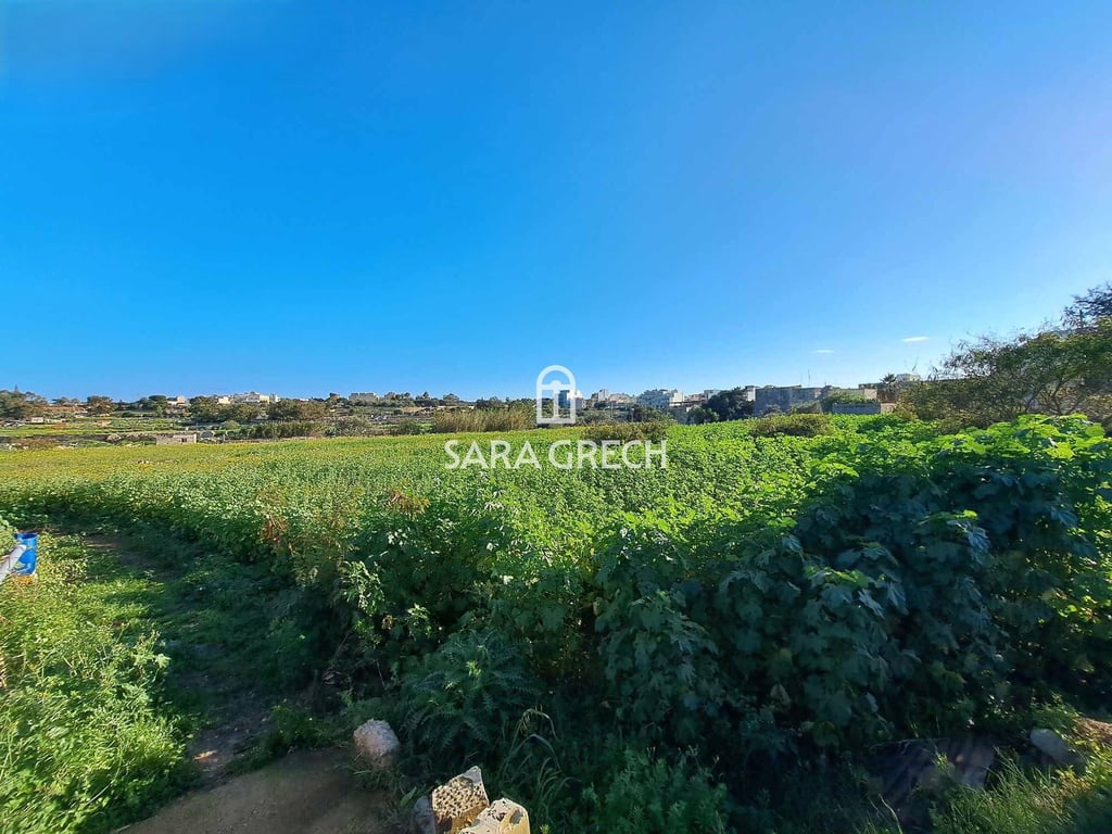 House in Iz-Zejtun - Image 2