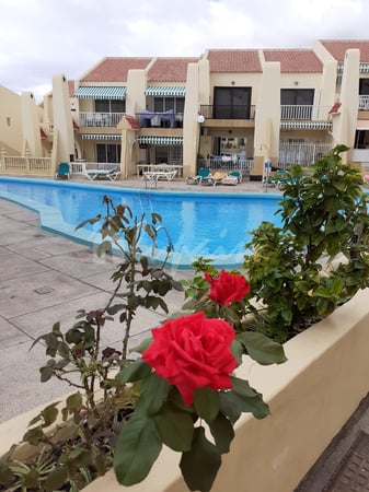 Apartment in Playa Torviscas - view 1