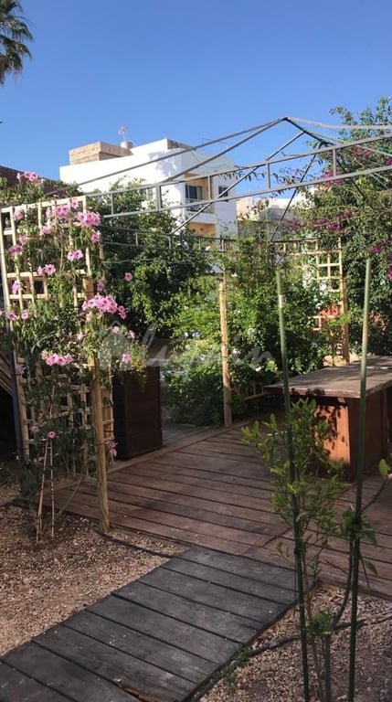 House in Valle de San Lorenzo - Image 3