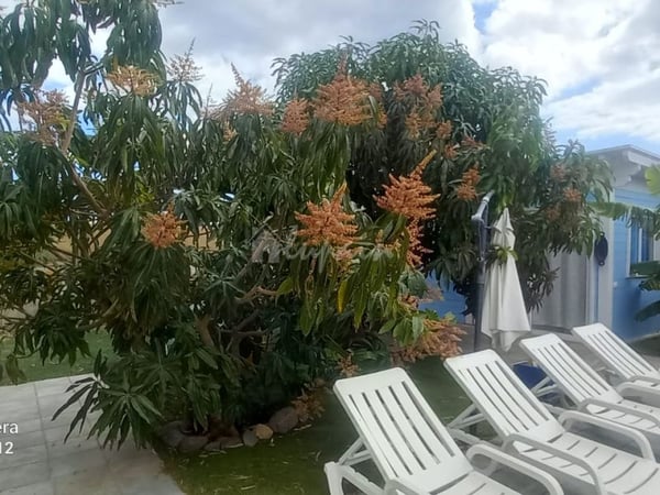 House in Guaza - view 1