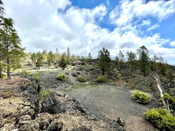 Land in Chirche - view 1