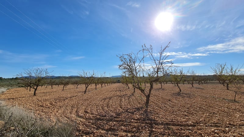 Land in Lel - view 1