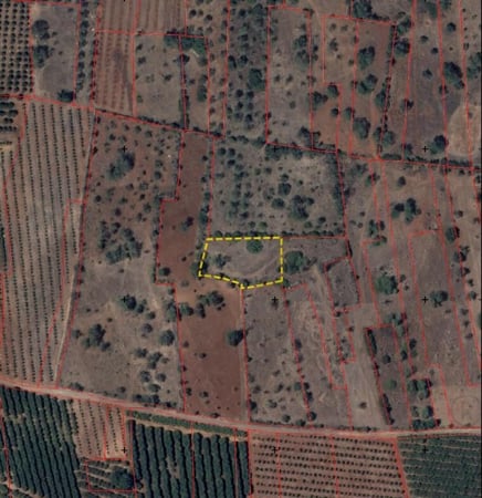 Land in Sao Bartolomeu de Messines - view 1