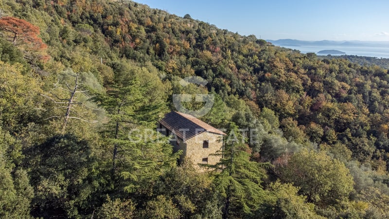 House in Tuoro sul Trasimeno - view 1