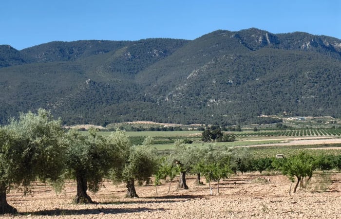 House in Yecla - view 1