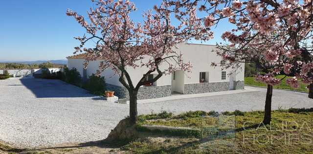 House in Oria - view 1