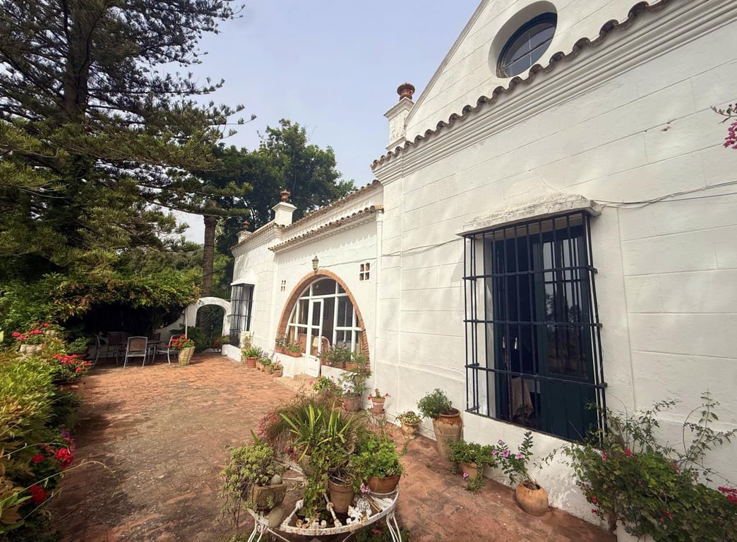 Villa in Pelayo - Image 3