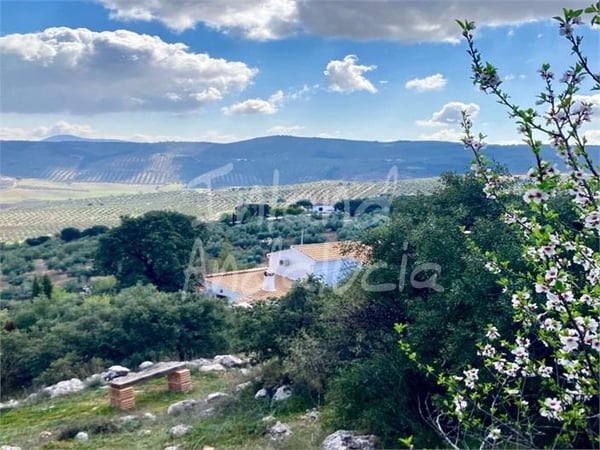 Farm, Ranch or Equestrian in Santa Ana - view 1