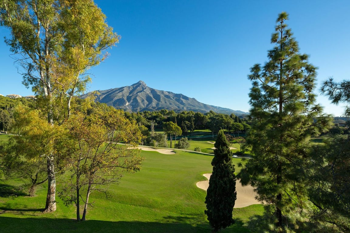 Villa in Nueva Andalucia - Image 2