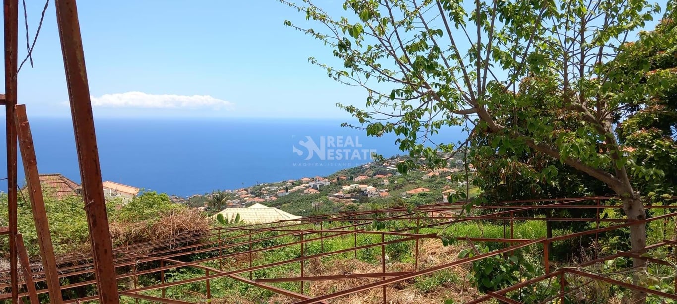 Villa in Canhas - Image 3