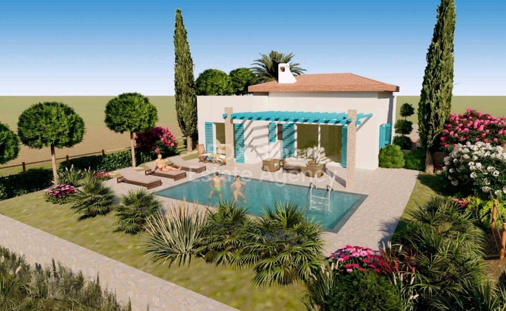 House in Souni - view 1