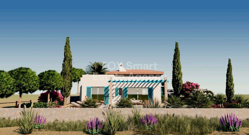 House in Souni - view 1