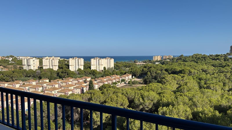 Apartment in Dehesa de Campoamor - view 1