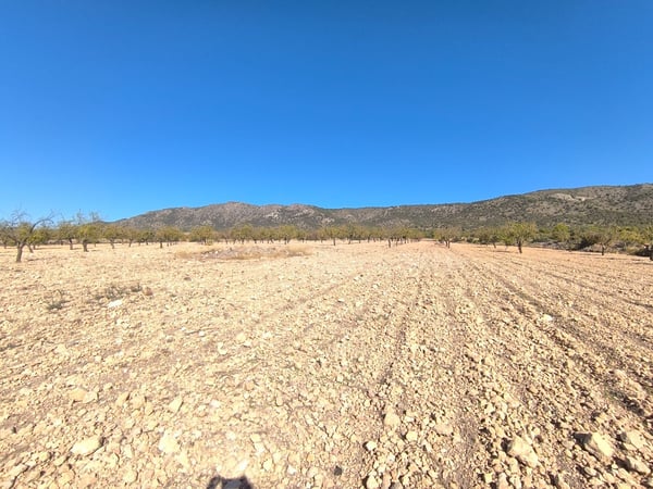 Land in Ubeda - view 1