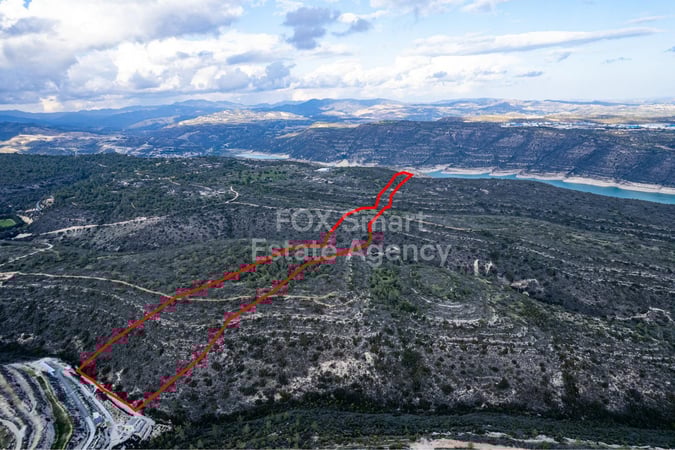 Land in Souni - view 1