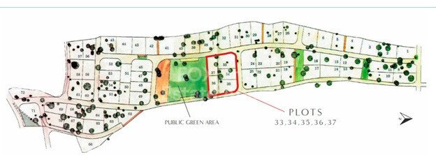 Land in Souni - Image 2