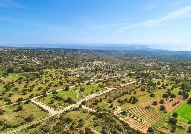 Land in Souni - view 1