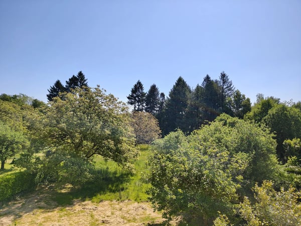 House in Saint-Saud-Lacoussiere - view 1