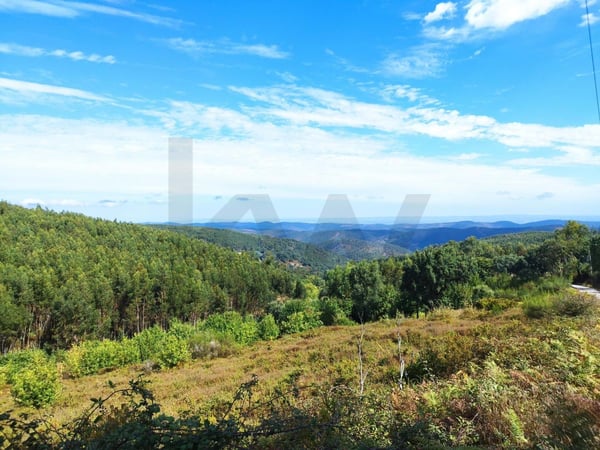 House in Monchique - view 1