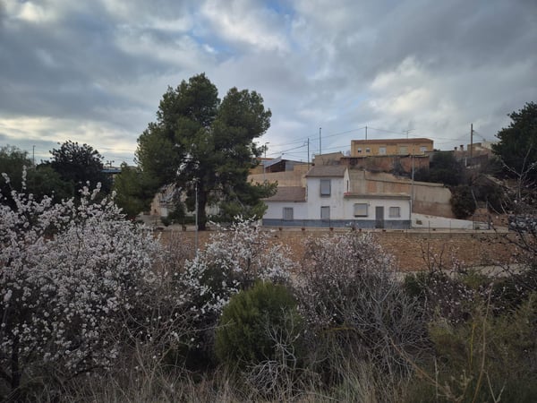 House in Aledo - view 1