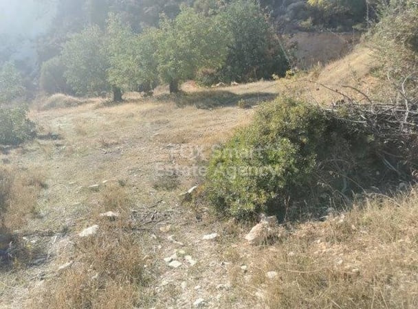 Land in Agia Fylaxis - view 1
