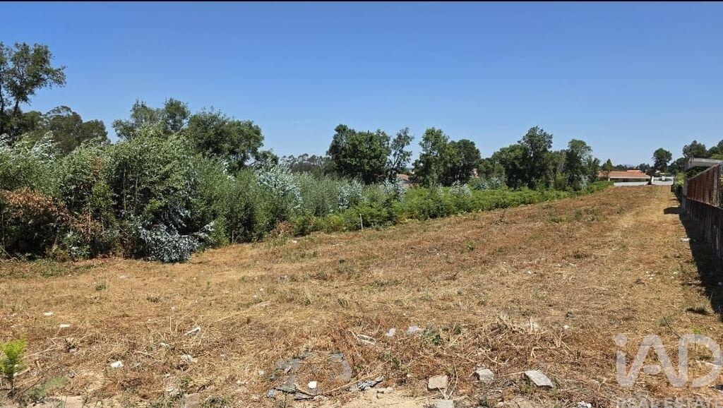 Land in Pedroso - Image 2