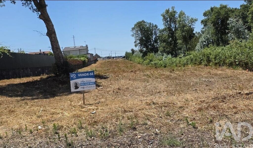 Land in Pedroso - Image 3