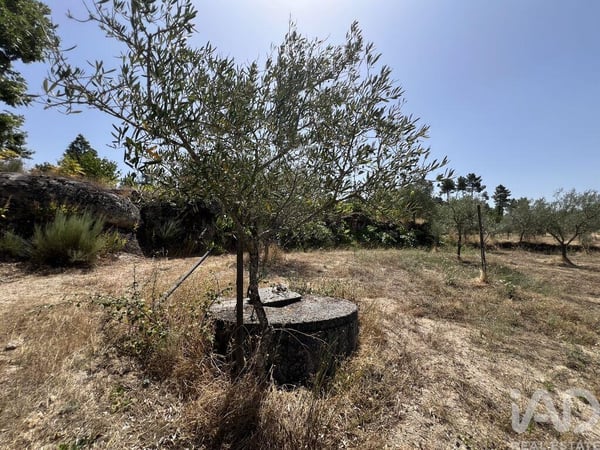 Land in Sernancelhe - view 1