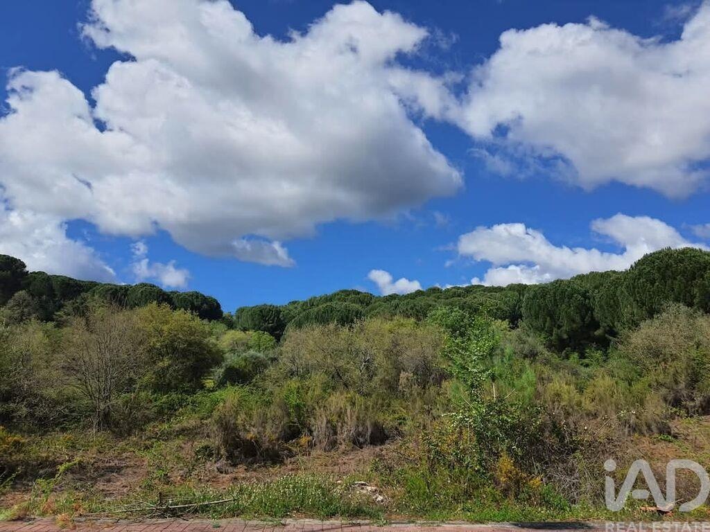 Land in Nossa Senhora da Piedade - Image 2