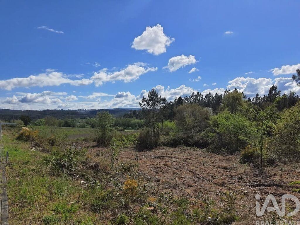 Land in Nossa Senhora da Piedade - Image 3