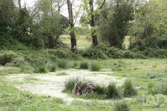 Land in Poceirao - view 1