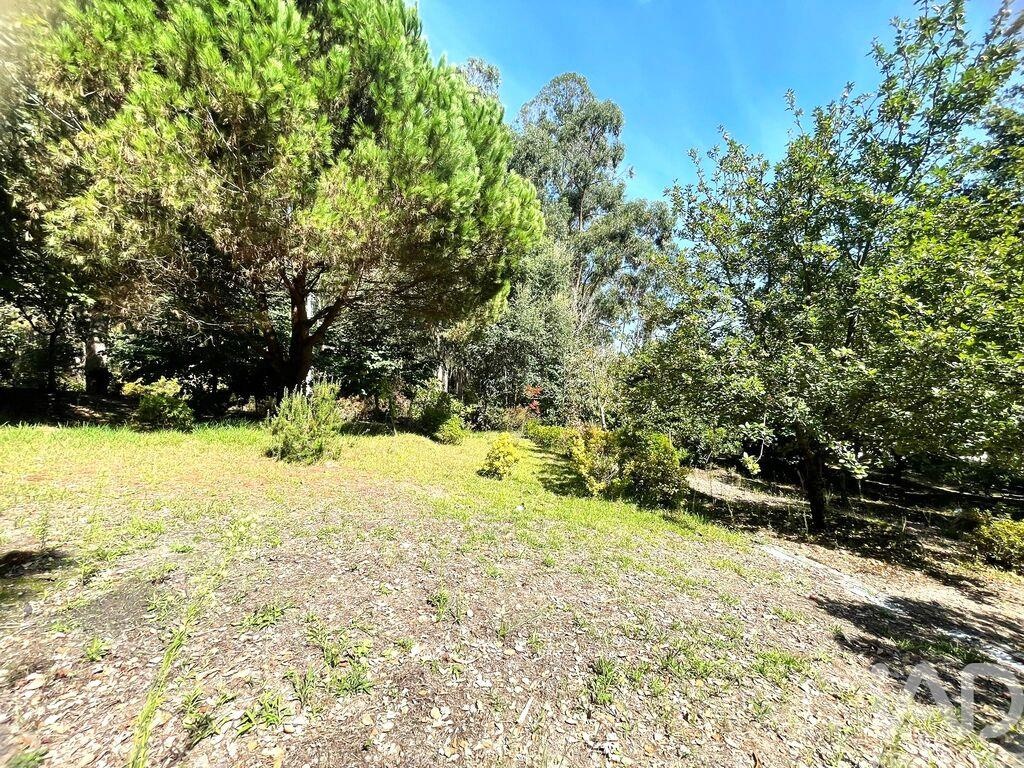 Land in Durraes - Image 3