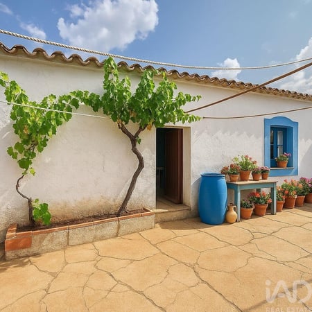 House in Moncarapacho - view 1