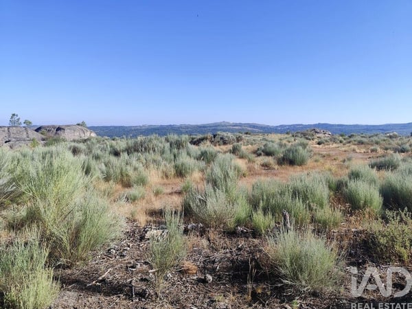 Land in Sernancelhe - view 1