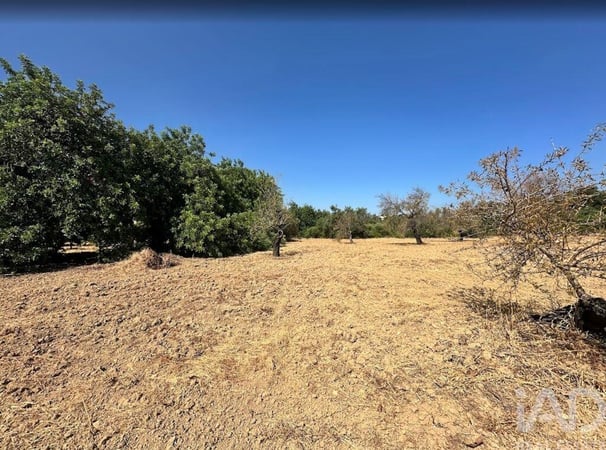 Land in Santo Estevao - view 1