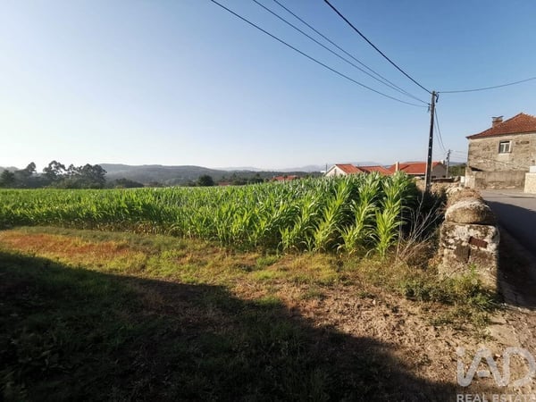 Land in Antas - view 1