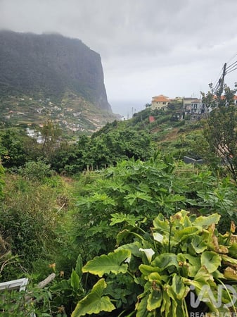 Land in Porto da Cruz - view 1